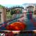 Vila Nena Sutomore, private accommodation in city Sutomore, Montenegro
