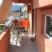Apartmani Scepanovic, private accommodation in city Tivat, Montenegro - Apartman 4