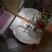 Apartmani Scepanovic, private accommodation in city Tivat, Montenegro - Apartman 1