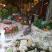 Apartmani Scepanovic, private accommodation in city Tivat, Montenegro - Dvoriste Kuce
