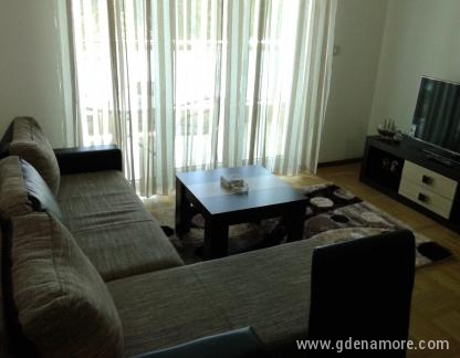 Apartman Budva , Privatunterkunft im Ort Budva, Montenegro - Dnevna soba i izlaz na terasu
