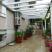 Apartmani Maslina-Savina, privatni smeštaj u mestu Herceg Novi, Crna Gora