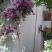 Hus Todorovic, privat innkvartering i sted Budva, Montenegro