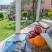 Vila Filipovic, logement privé à Buljarica, Monténégro - MLM_3414