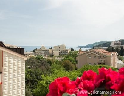 APPARTAMENTI SOFIA, alloggi privati a Bečići, Montenegro - DSC_8696