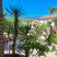 Ich vermiete Zimmer und Apartments in Herceg-Novi, Privatunterkunft im Ort Herceg Novi, Montenegro - 20220520_100853