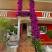 Villa L Budva, Privatunterkunft im Ort Budva, Montenegro - 309052075