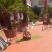 Villa L Budva, Privatunterkunft im Ort Budva, Montenegro - 490471694
