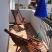 Apartmani Buntic,Susanj,Bar,Crna Gora, Apartmani Buntic,Susanj,Bar, privatni smeštaj u mestu Bar, Crna Gora