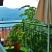 Villa Ohrid, Зеленая студия является, Частный сектор жилья Охрид, Македония