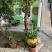 Apartmani Lilić, Apartman u prizemlju/5, privatni smeštaj u mestu Donji Štoj, Crna Gora - Ispred apartmana