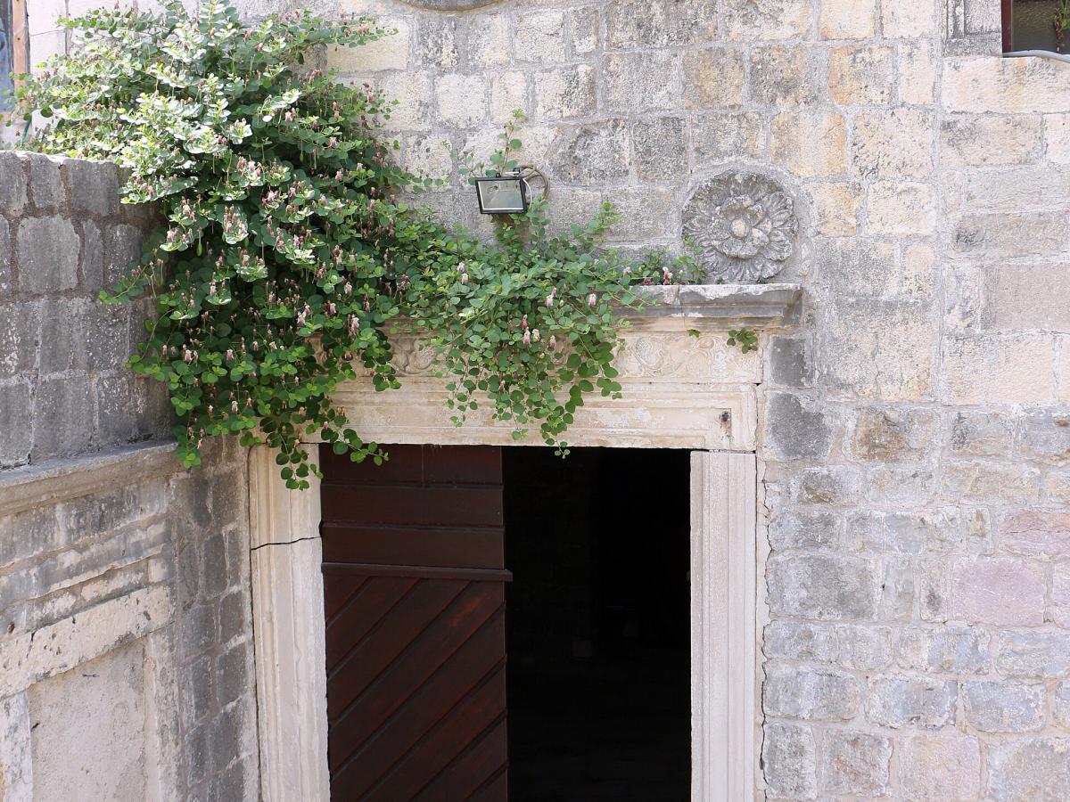 Santa Maria-kirken i Punta — 3